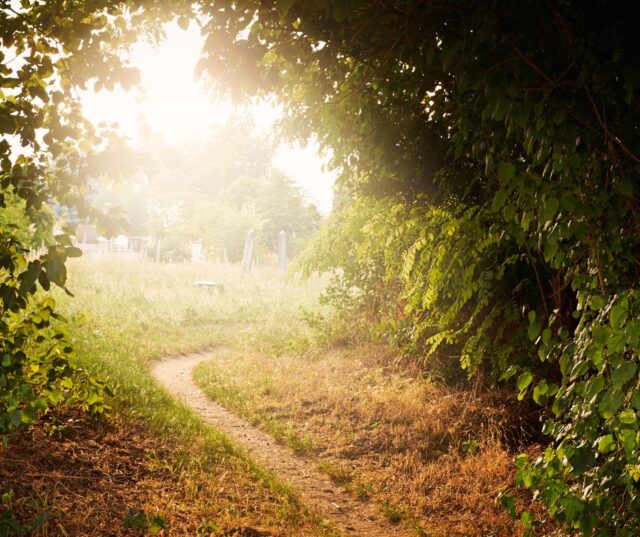 How Mindful Living Is More Than Meditation Center For Personal